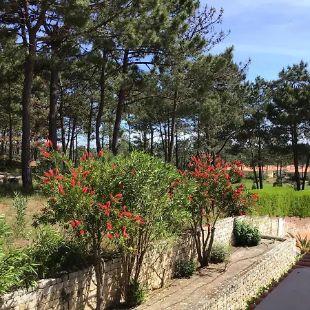 Pearl Of Praia * Amoreira (Leiria)